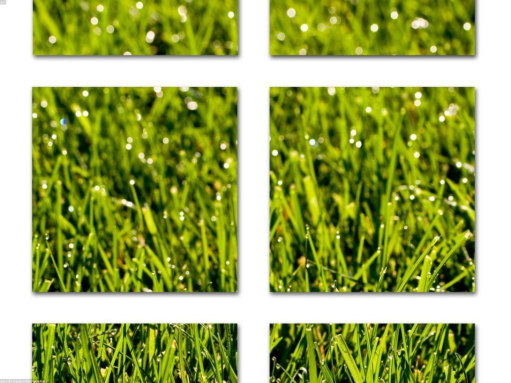 ការប្រៀបធៀបនៃវប្បធម៌ខ្មែរ និងវប្បធម៌អន្តរជាតិ