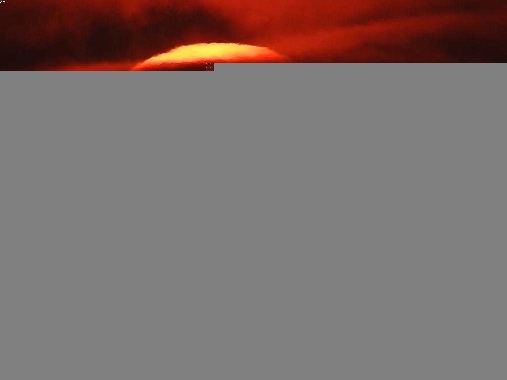 បទពិសោធន៍របស់អ្នកប្រើនៅក្នុងការជាវអនឡាញ