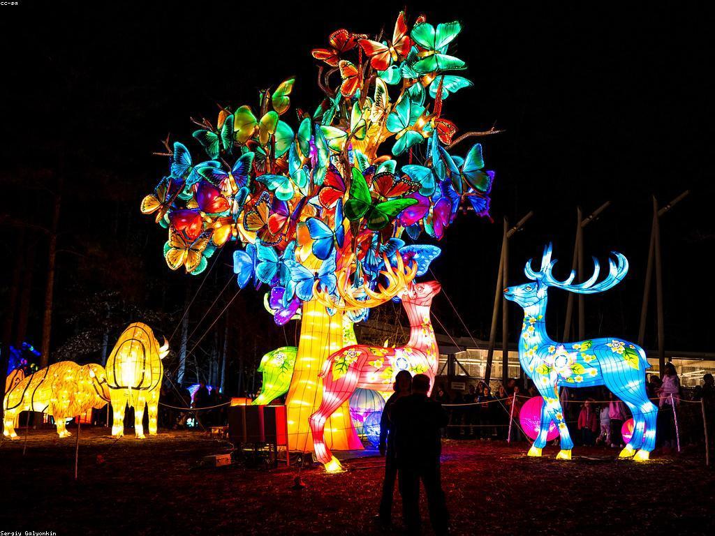 វិធីសាស្ត្រស្លុតបង្វិល៖ អុបទិចសម្រាប់ការបង្កើតការរចនាដែលគួរឱ្យចាប់អារម្មណ៍