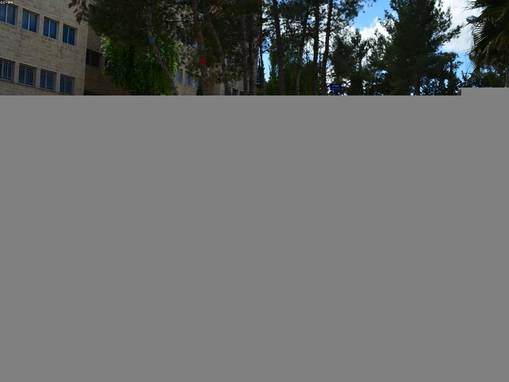 វិធីសាស្ត្រស្លុតបង្វិល៖ ការបង្កើតអារម្មណ៍ប៉ះពាល់